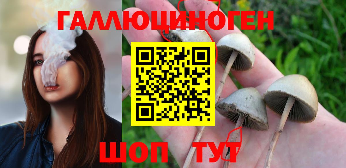 Чернушка  Псилоцибиновые грибы Psilocybine cubensis  Псилоцибиновые грибы Cubensis  Вход с VPN 