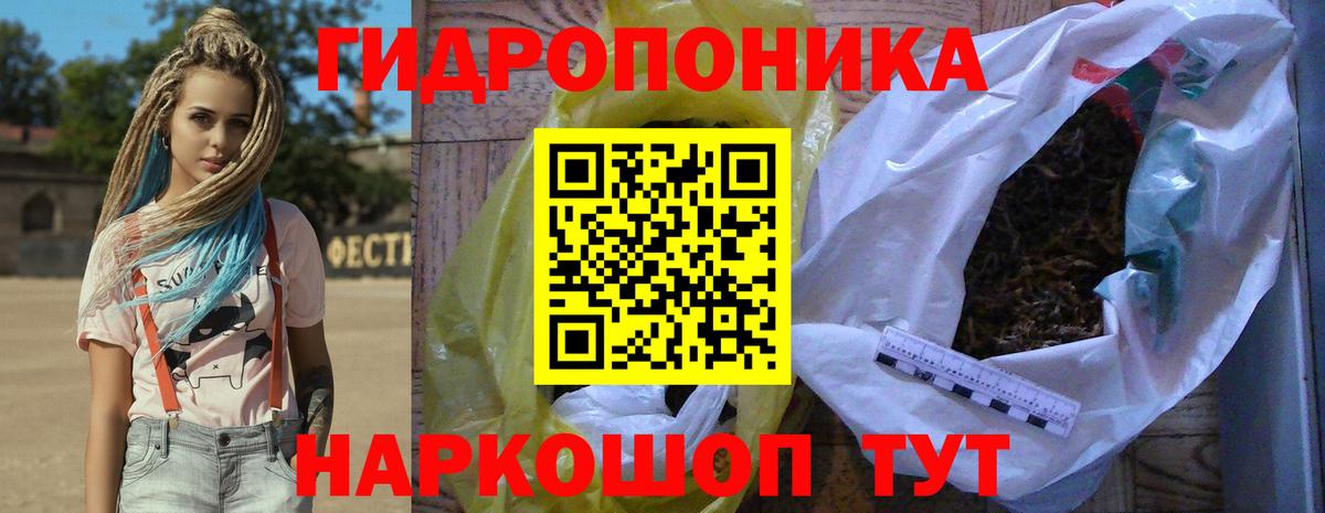 Канабис план Чернушка